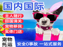 荷花航空邮寄国际宠物托运 【国